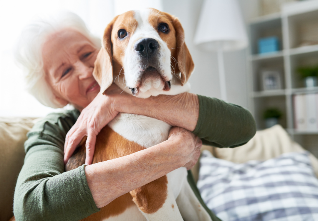 New Partnership Helps Struggling Nebraskans Care for Pets