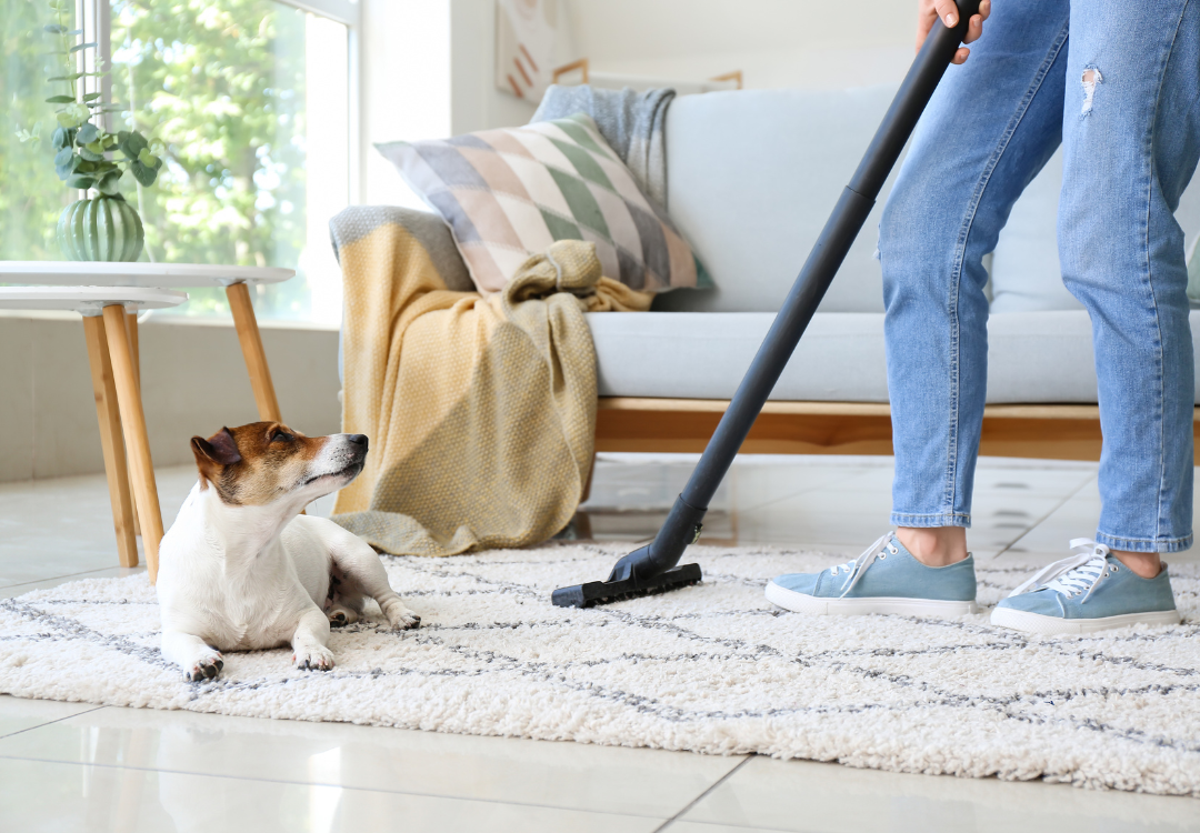 Spring Spruce-Up: Safe and Effective Cleaning Strategies for Pet Owners